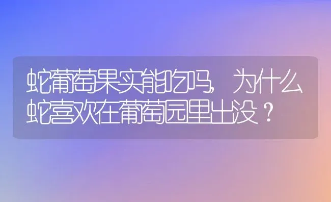 蛇葡萄果实能吃吗,为什么蛇喜欢在葡萄园里出没？ | 养殖常见问题