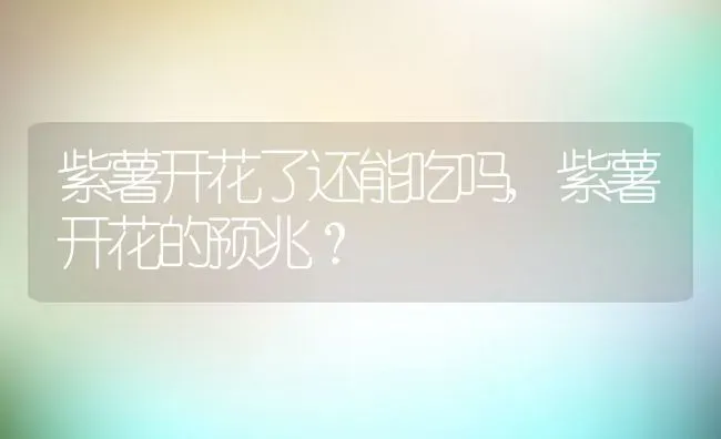 紫薯开花了还能吃吗,紫薯开花的预兆？ | 养殖常见问题