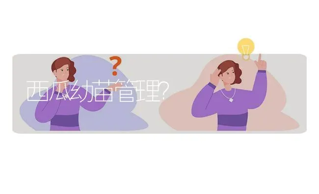 西瓜幼苗管理? | 养殖问题解答