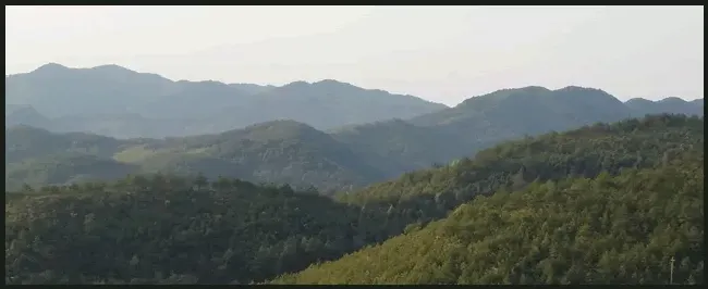 兔子价格多少钱一斤 | 科普知识