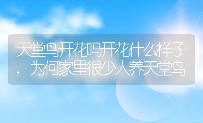 南瓜品种排名介绍南瓜有哪几种品种,京八棱和南瓜哪个好？ | 养殖常见问题