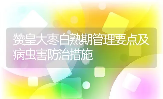 赞皇大枣白熟期管理要点及病虫害防治措施 | 养殖常见问题