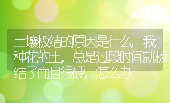 土壤板结的原因是什么,我种花的土，总是过段时间就板结了而且很硬，怎么办 | 养殖常见问题