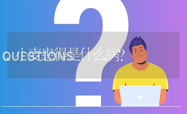 小麦患得是什么病? | 养殖问题解答