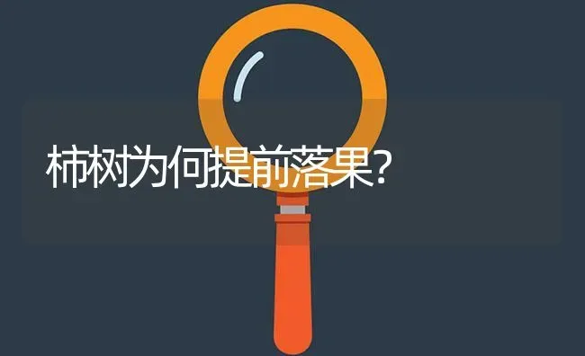 柿树为何提前落果? | 养殖问题解答