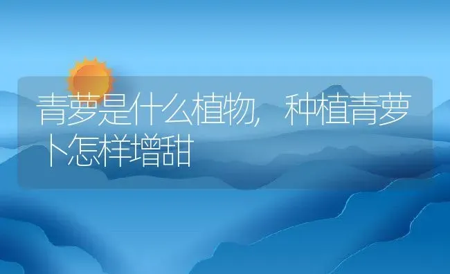 青萝是什么植物,种植青萝卜怎样增甜 | 养殖常见问题