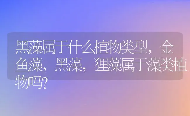 黑藻属于什么植物类型,金鱼藻，黑藻，狸藻属于藻类植物吗？ | 养殖常见问题