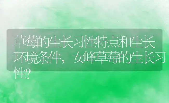 草莓的生长习性特点和生长环境条件,女峰草莓的生长习性？ | 养殖常见问题