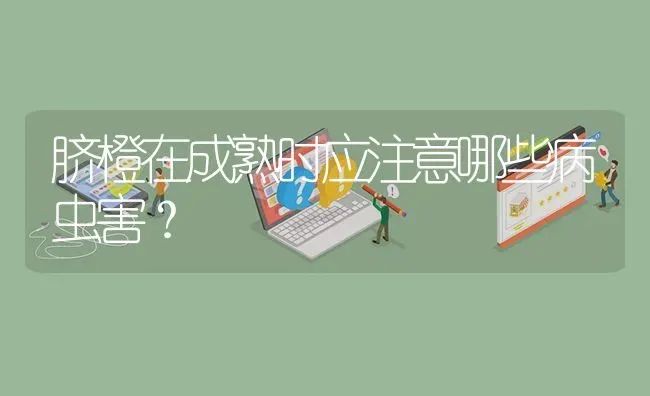 脐橙在成熟时应注意哪些病虫害? | 养殖问题解答