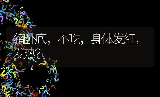 猪卧底,不吃,身体发红,发热? | 养殖问题解答