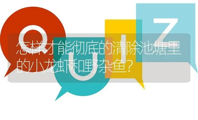 怎样才能彻底的清除池塘里的小龙虾和野杂鱼? | 养殖问题解答