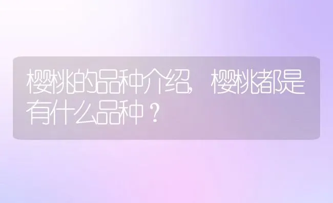 樱桃的品种介绍,樱桃都是有什么品种？ | 养殖常见问题