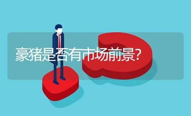 豪猪是否有市场前景? | 养殖问题解答