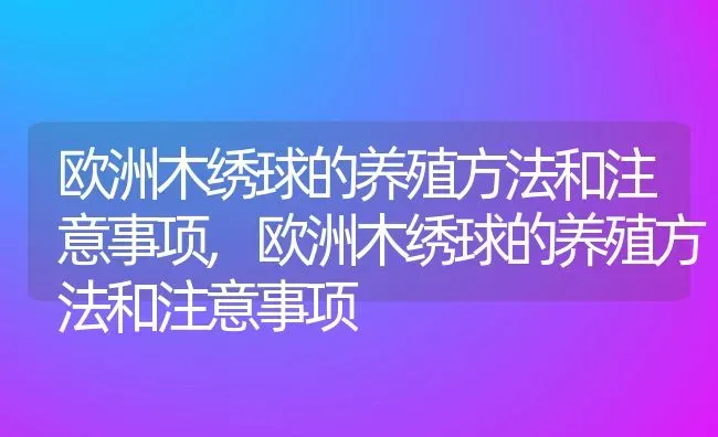 欧洲木绣球的养殖方法和注意事项,欧洲木绣球的养殖方法和注意事项 | 养殖常见问题