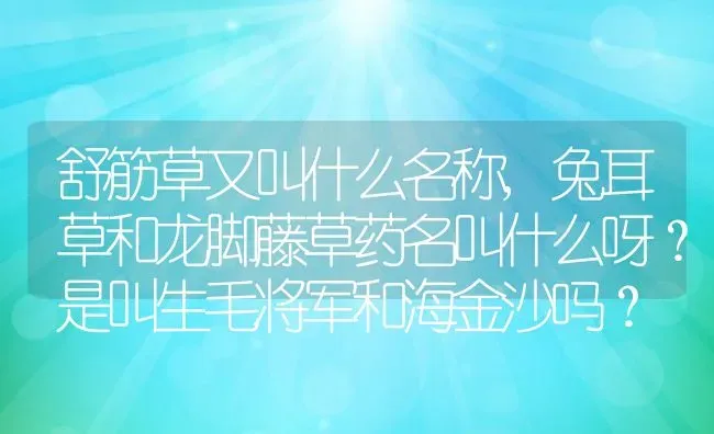 舒筋草又叫什么名称,兔耳草和龙脚藤草药名叫什么呀？是叫生毛将军和海金沙吗？ | 养殖常见问题