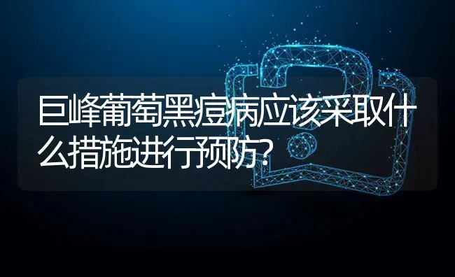 巨峰葡萄黑痘病应该采取什么措施进行预防? | 养殖问题解答