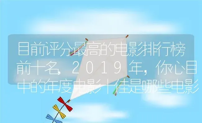 目前评分最高的电影排行榜前十名,2019年，你心目中的年度电影十佳是哪些电影 | 养殖常见问题