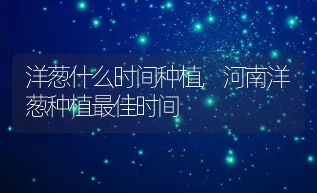 洋葱什么时间种植,河南洋葱种植最佳时间 | 养殖常见问题