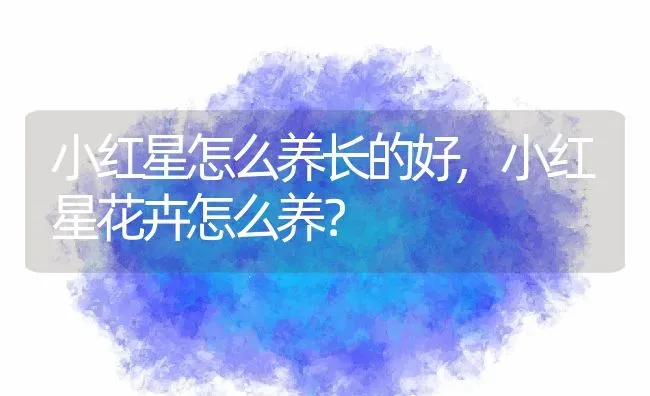 小红星怎么养长的好,小红星花卉怎么养？ | 养殖常见问题