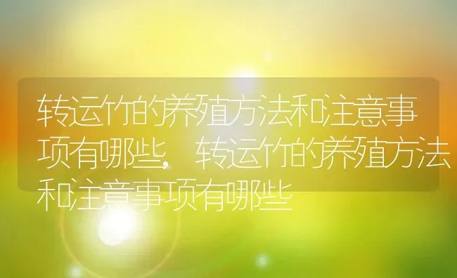 转运竹的养殖方法和注意事项有哪些,转运竹的养殖方法和注意事项有哪些 | 养殖常见问题