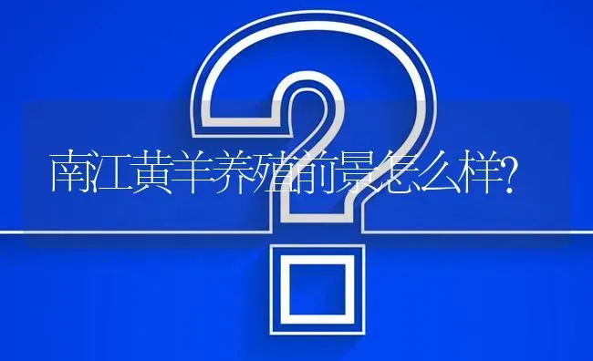 南江黄羊养殖前景怎么样? | 养殖问题解答