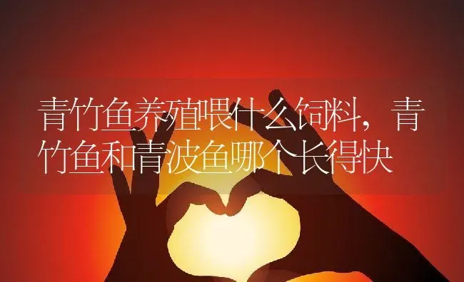 韭兰花谢后怎么处理,韭兰种球需去外皮吗？ | 养殖常见问题