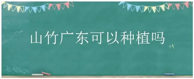 山竹广东可以种植吗 | 科普知识