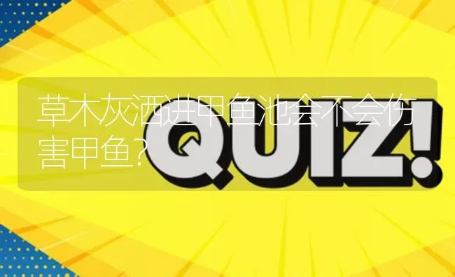 草木灰洒进甲鱼池会不会伤害甲鱼? | 养殖问题解答