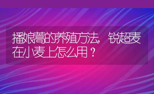 播娘蒿的养殖方法,锐超麦在小麦上怎么用？ | 养殖常见问题