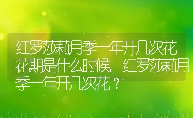 红罗莎莉月季一年开几次花花期是什么时候,红罗莎莉月季一年开几次花？ | 养殖常见问题