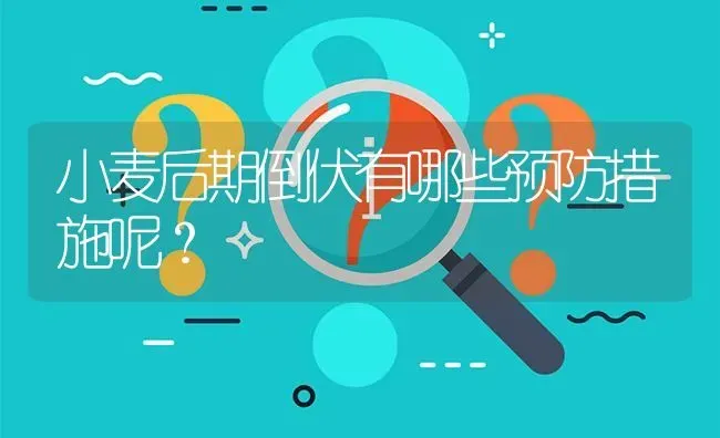 小麦后期倒伏有哪些预防措施呢? | 养殖问题解答