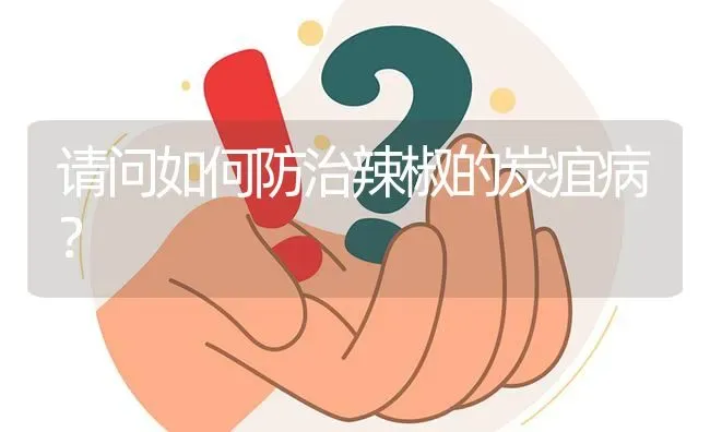 请问如何防治辣椒的炭疽病? | 养殖问题解答