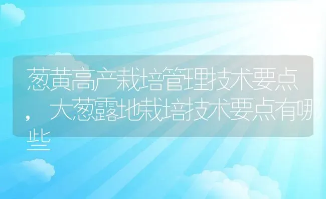 葱黄高产栽培管理技术要点,大葱露地栽培技术要点有哪些 | 养殖常见问题