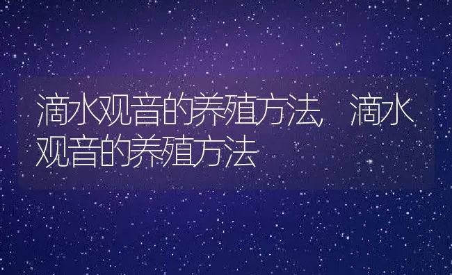 滴水观音的养殖方法,滴水观音的养殖方法 | 养殖常见问题