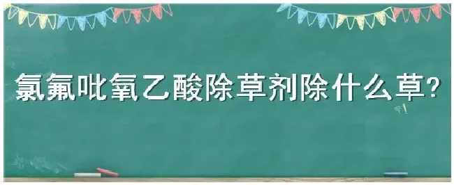 氯氟吡氧乙酸除草剂除什么草 | 科普知识