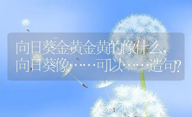 向日葵金黄金黄的像什么,向日葵像……可以……造句？ | 养殖常见问题