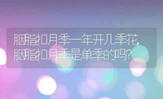 胭脂扣月季一年开几季花,胭脂扣月季是单季的吗？ | 养殖常见问题