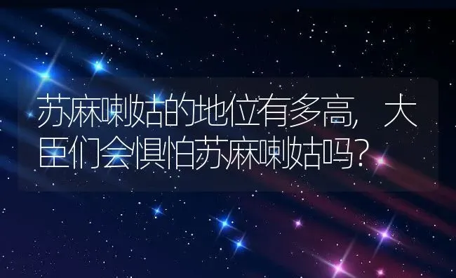 苏麻喇姑的地位有多高,大臣们会惧怕苏麻喇姑吗？ | 养殖常见问题