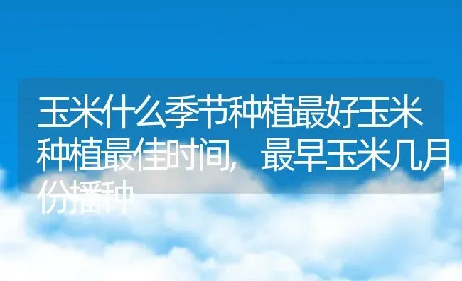 玉米什么季节种植最好玉米种植最佳时间,最早玉米几月份播种 | 养殖常见问题