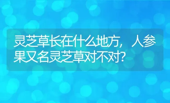 灵芝草长在什么地方,人参果又名灵芝草对不对？ | 养殖常见问题