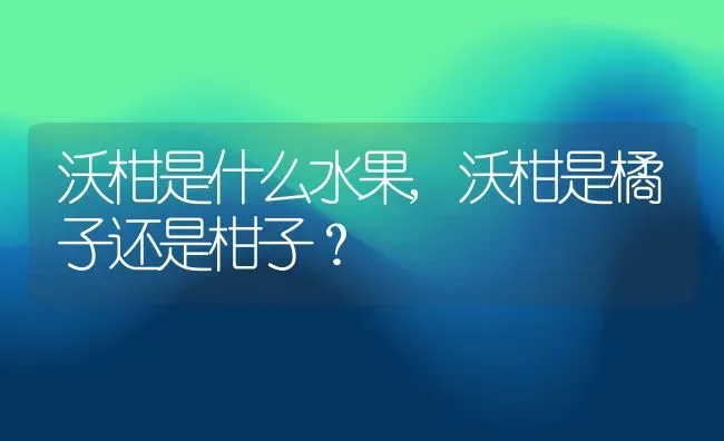 沃柑是什么水果,沃柑是橘子还是柑子？ | 养殖常见问题