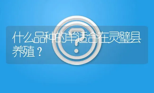 什么品种的羊适合在灵璧县养殖? | 养殖问题解答