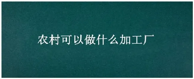 农村可以做什么加工厂 | 农业答疑