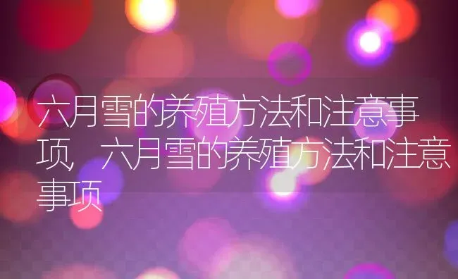 六月雪的养殖方法和注意事项,六月雪的养殖方法和注意事项 | 养殖常见问题