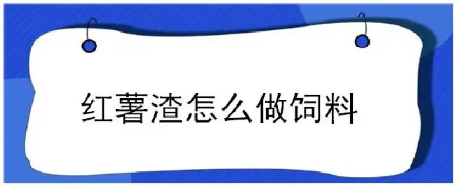 红薯渣怎么做饲料 | 生活常识