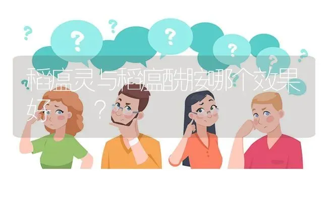 稻瘟灵与稻瘟酰胺哪个效果好  ? | 养殖问题解答