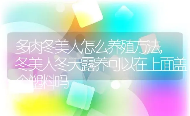 多肉冬美人怎么养殖方法,冬美人冬天露养可以在上面盖个塑料吗 | 养殖常见问题