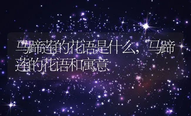 花菜的种植方法和时间,花椰菜播种时间和最佳温度 | 养殖常见问题