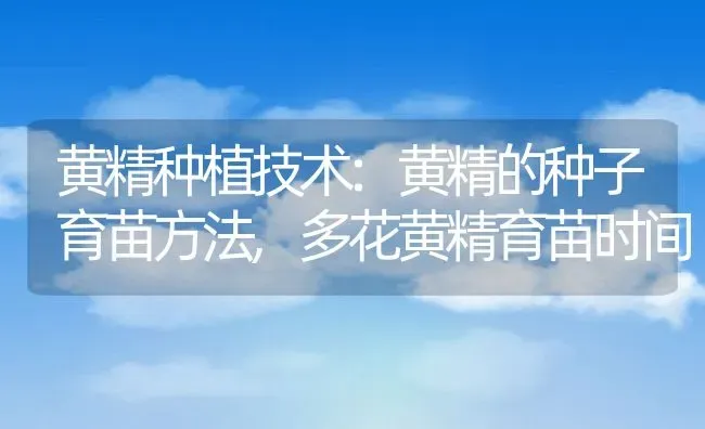 攀枝花又叫什么花,攀枝花树的作用与用途 | 养殖常见问题