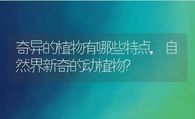 奇异的植物有哪些特点,自然界新奇的动植物？ | 养殖常见问题